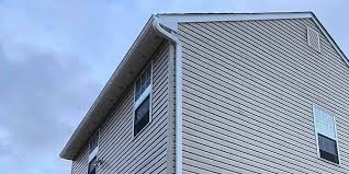 Historical Building Siding Restoration in Merrill, IA